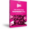 FRANZIS Erste Schritte mit dem Raspberry Pi 4 – Mach’s einfach e-Book (PDF)