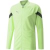 Puma TeamFINAL Training Herren Fußballjacke, grün XL