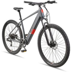 TELEFUNKEN E-Bike Mountainbike »Aufsteiger M919«, 29 Zoll