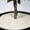 Schicker Mineral Marmor Ziersplitt weiß 1-3 mm