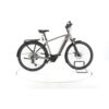 Hercules Edison Comp I-12 Trekking E-Bike – 305771
