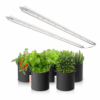 Spider Farmer Glow80 LED