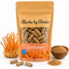 Cordyceps – 60 Kapseln