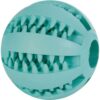 TRIXIE Denta Fun Ball, Minzgeschmack, Naturgummi, Ø 7 cm