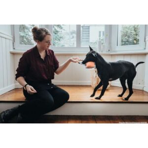 DOG SPORT HUNTER Hundespielzeug Tough Pombas Pfeil 35 cm