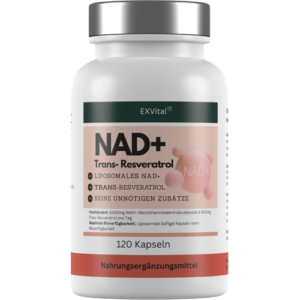 NAD+ Kapseln, hochdosiert 1000mg NAD+ & 600mg Trans-Resveratrol pro Tag, 120 Stück von EXVital