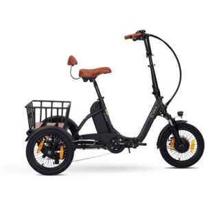 SachsenRAD T6S Comfort Air mit Alarmanlage