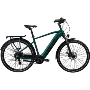 E-Bike TRETWERK „Onyx“ Gr. 52, grün (dunkelgrün metallic), Elektrofahrräder, 52cm, 28 Zoll (71,12cm)