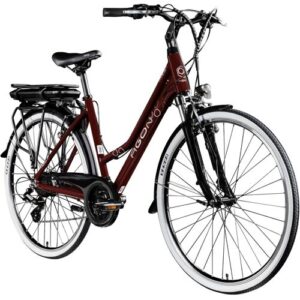Agon Avesa E Bike Trekkingrad Damen Herren ab 155 cm mit Nabenmotor Pedelec Trekking Fahrrad mit 21 Gang und Beleuchtung StVZO Tiefeinsteiger