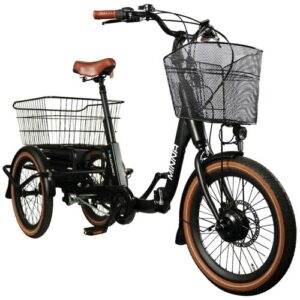 Blaupunkt E-Trike / E-Lastenrad Minna 20 Zoll 250W – E-Bikes, Scooter & Zubehör