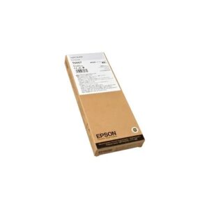 Epson Tinte C13T606700 light black T6067