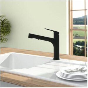 Villeroy und Boch Junis Sky Shower Küchenarmatur 92820006 schwenkbarer Strahlregler, matt Black