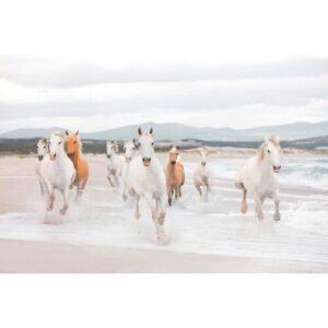 Fototapete KOMAR „White Horses – Größe 368 x 254 cm“, weiß (weiß, beige), B:368m L:254m, Papier, Tapeten, Wohnzimmer, Schlafzimmer