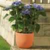 Euro 3 Plast Pflanzkübel ‚Etria‘, terra, ca. Ø 44 x H 36 cm