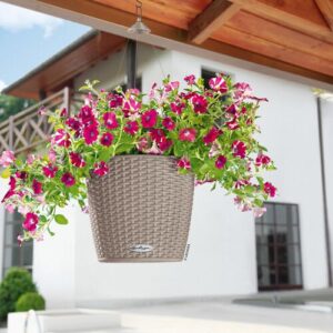 Lechuza® Lechuza ‚Nido Cottage 35‘, sandbraun, ca. Ø 35 x H 23 cm