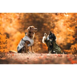 DOG SPORT HUNTER Hundemantel Uppsala 37,5, taupe
