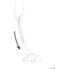 DOG SPORT HUNTER Wurf-Hundespielzeug FLINGERZ™ Splash Wal, 59 cm
