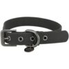TRIXIE CityStyle Halsband, 30 – 37 cm / 20 mm, schwarz