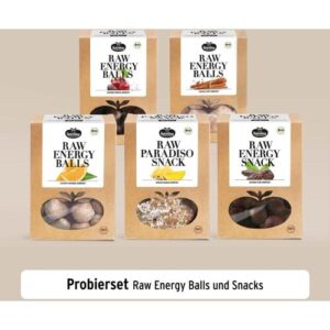 Keimling Naturkost Probierset Raw Energy Balls & Snacks, bio 1000 g