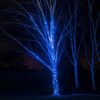 Lights4fun Pro Connect 25m 250er LED Lichterkette blau koppelbar schwarzes Kabel IP67