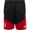 FC Bayern Trainingsshort DFB Home – Schwarz – adidas