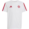 FC Bayern T-Shirt DNA – Weiß – Kinder – adidas
