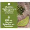 EXVital® BIO Moringa Tabletten, 3000mg Moringa Oleifera, 180 Tabletten