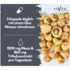 EXVital® Maca 1000 Plus Tribulus, 90 Kapseln