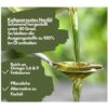 EXVital® Hanföl Kapseln, hochdosiert, 365 Kapseln