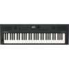 Roland GO:KEYS 5 Graphit