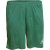 Shorts Select Pisa – Grün – male – Size: 3XL