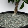 Schicker Mineral Diabas Ziersplitt grau 5-8 mm