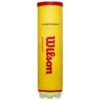 Wilson Championship 4er Dose nosize