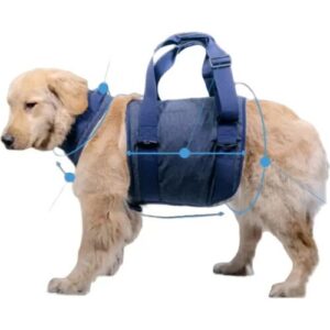 INF Hebegeschirr für ältere Hunde XS