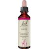 Nelsons GmbH BACHBLÜTEN Larch Tropfen 20 ml