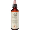 Nelsons GmbH BACHBLÜTEN Mimulus Tropfen 20 ml