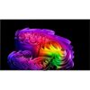 OLED83G68LW.AEU *Preis inkl. 150,-Euro LG Direktabzug 210 cm, 83 Zoll 4K Ultra HD OLED evo TV