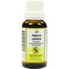 Nestmann Pharma GmbH Agnus Castus Komplex Nr.22 Dilution 20 ml