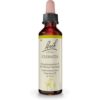 Nelsons GmbH Bachblüten Clematis Tropfen 20 ml