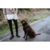 DOG SPORT HUNTER Umhänge-Snackbeutel Alva, beige