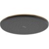 Hansgrohe Raindance Alive S Duschkopf 24521140 wassersparend, 1 Strahlart, 300 mm, EcoSmart, brushed bronze