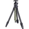 AOKA TS-255C Carbonstativ Grün + DH-45 Kugelkopf