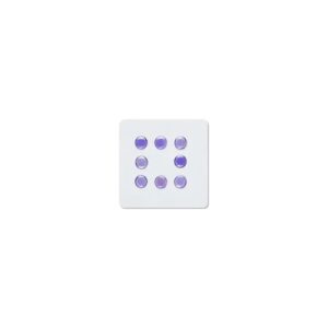 Unusual Way Sports Fox Gaze – Universal Dots – Lila