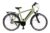 Maxtron Trekking E-Bike MT-11X, Mittelmotor, Shimano Nabenschaltung, Magura hydr. Felgenbremse, Herren 1219826