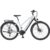 PROPHETE E-Bike, »ENTDECKER 5.0«, 28 Zoll, 10 Gänge, grau matt