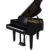 Roland GP-9M Digitalflügel Schwarz