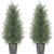 HOMCOM 2er Set Künstliche Zypressenbäume groß 90cm Kunstpflanze, Plastik Künstliche Pflanzen im Topf, Kunstbaum Fake Plant wie echt für Wohnzimmer Schlafzimmer Büro Garten Moderne Dekoration Geschenk   Aosom