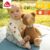 Fehn Kuscheltier Bär Fred XL 38cm braun