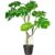 Pflanzen-Kölle Kunstpflanze Splitphilodendron, Höhe ca. 75 cm