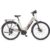 TELEFUNKEN E-Bike City Multitalent RC680 28 Zoll Seidengrau